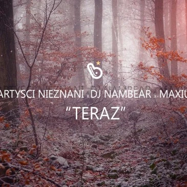 BZN – Teraz feat. Artyści Nieznani, DJ Nambear [singiel, video mash-up]